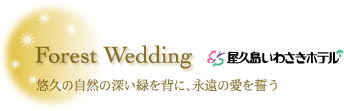 Forest Wedding 야쿠시마 이와사키호텔