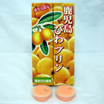 鹿児島びわプリン