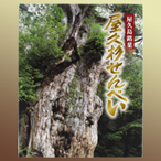 屋久杉せんべい