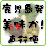 鹿児島発 美味か！直行便