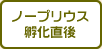 ノープリウス孵化直後
