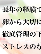 長年の経験で培った高度な技術により
卵から大切に育て上げて出荷まで一貫体制で
徹底管理の下、安心・安全をお届けいたします。
ストレスのない広大な環境の中で
のびのび育った「いわさき活車海老」
産地直送のぷりっぷりのおいしさをどうぞご賞味下さい。
