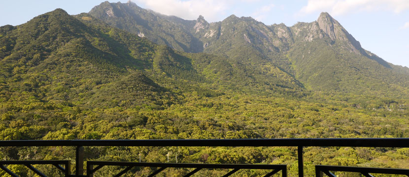 Yakushima Iwasaki Hotel