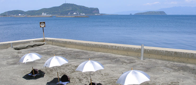 Ibusuki Iwasaki Hotel