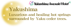 Yakushima Iwasaki Hotel : Luxurious and healing hot springs surrounded by Yaku ceder trees.