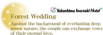 Yakushima Iwasaki Hotel : Forest Wedding
Against the background of everlasting deep green nature, the couple can exchange vows of their eternal love.