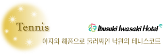 이부스키 이와사키호텔