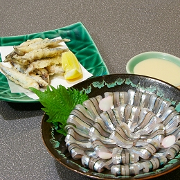 いわさきﾎﾃﾙｽﾞ ｾﾚｸﾄｼｮｯﾌﾟ 商品詳細 魚市場直送 鹿児島産 生きびなご刺身と天ぷら