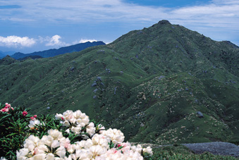 登山 : 屋久島