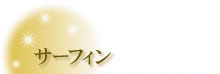 サーフィン