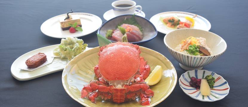 種子島いわさきホテル ご宿泊 観光