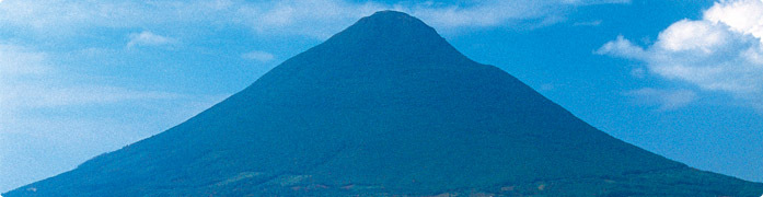 宿泊プラン 指宿いわさきホテル 【公式ウェブサイト】