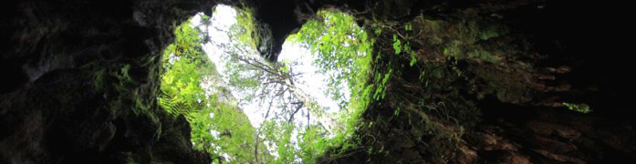 屋久島いわさきホテル ご宿泊 観光