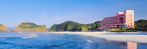 種子島岩崎飯店